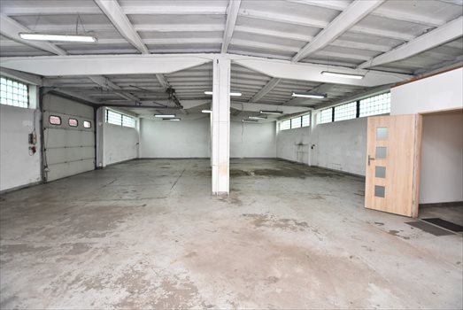 Lokal użytkowy na wynajem Zielona Góra 290m2 Foto 1