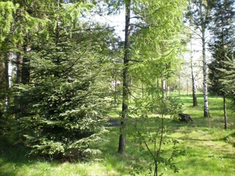 Działka budowlana na sprzedaż Kozy, Kęcka 3 552m2 Foto 3