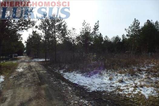 Działka budowlana na sprzedaż Łoś, Łoś 1 000m2 Foto 9