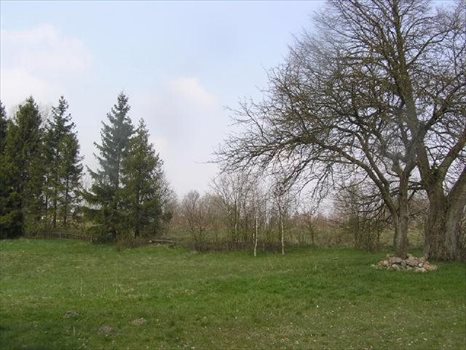 Działka inna na sprzedaż Rąb, RĄB, RĄB 51 4 900m2 Foto 6