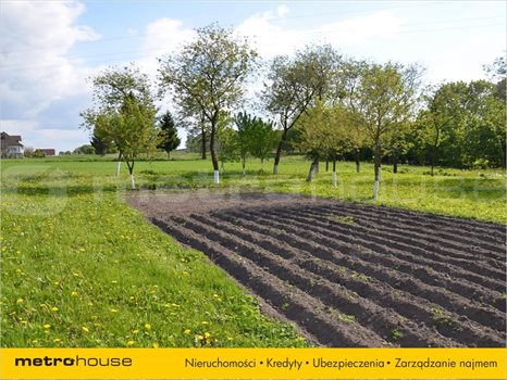 Dom na sprzedaż Burkat, Działdowo 468m2 Foto 4