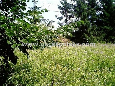 Działka budowlana pod dzierżawę Góraszka 2 800m2 Foto 1