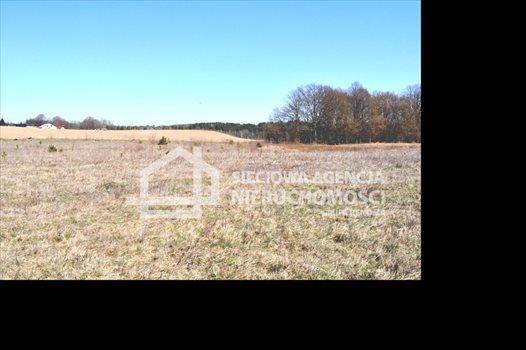 Działka budowlana na sprzedaż Tokary 1 052m2 Foto 11