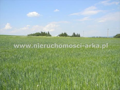 Działka rolna na sprzedaż Stare Rybie 7 200m2 Foto 1