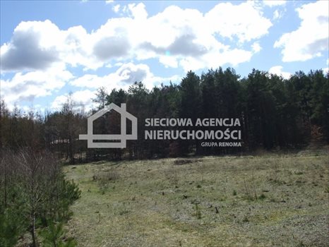 Działka budowlana na sprzedaż Sitno 1 001m2 Foto 5