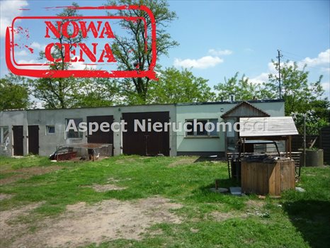 Dom na sprzedaż Żychlin, Grzybów Hornowski 140m2 Foto 9