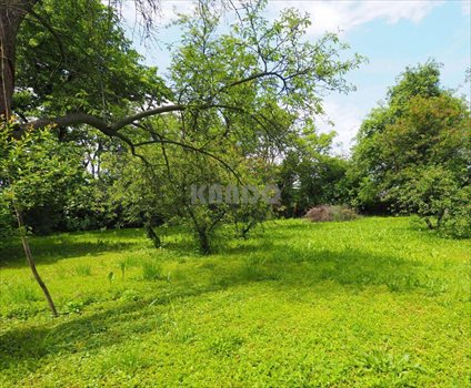 Dom na sprzedaż Żerniki Wrocławskie 280m2 Foto 1