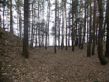 Działka budowlana na sprzedaż Skubianka, Korzenna 983m2 Foto 8