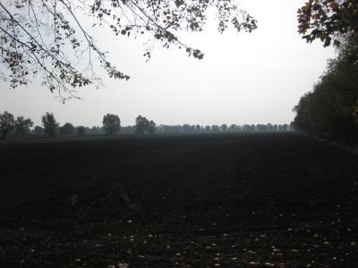 Działka inna na sprzedaż Kazimierzowo, Kazimierzowo 21 172m2 Foto 4