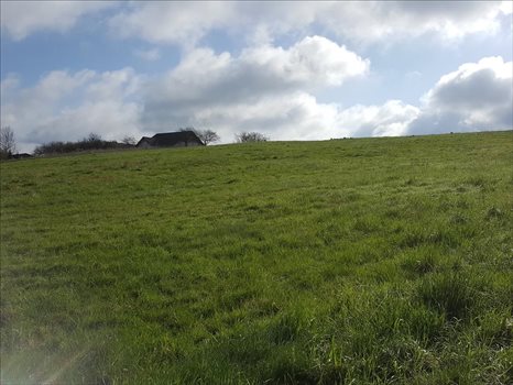 Działka inna na sprzedaż Łęcze, Tolkmicko 19 000m2 Foto 2