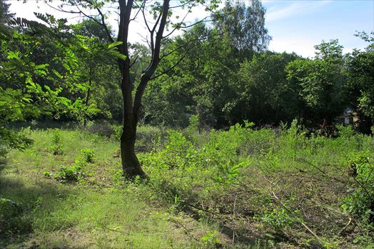 Działka budowlana na sprzedaż Wiązowna Kościelna, Kącka 5 771m2 Foto 2