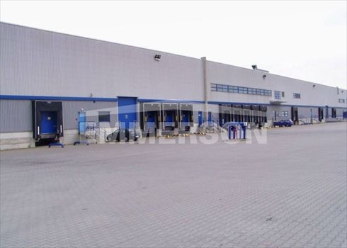 Lokal użytkowy na wynajem Pruszków 1 500m2 Foto 3
