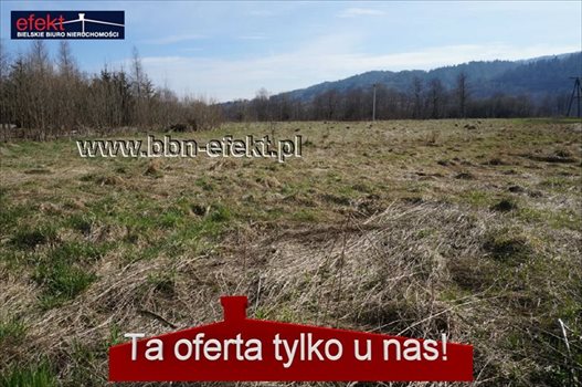 Działka inwestycyjna na sprzedaż Jeleśnia 3 310m2 Foto 2