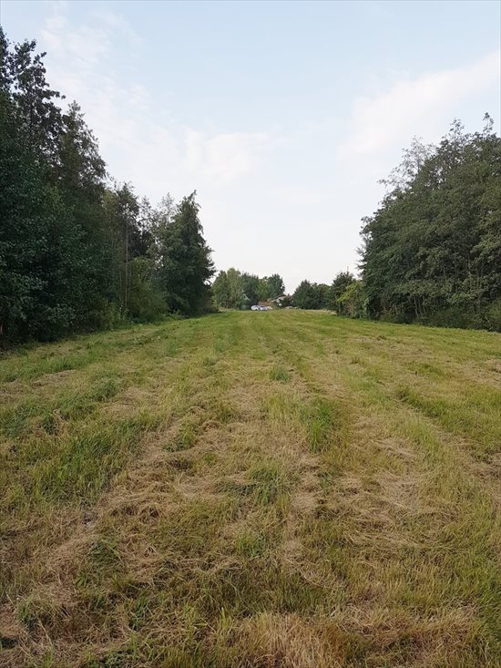 Działka budowlana na sprzedaż Słupno 7 100m2 Foto 1