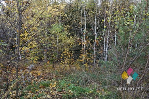 Działka budowlana na sprzedaż Jemiołowo 1 475m2 Foto 5