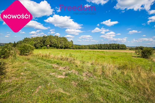 Działka budowlana na sprzedaż Straszydle 10 000m2 Foto 12