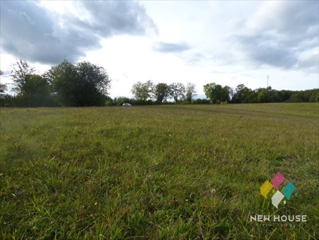 Działka budowlana na sprzedaż Wipsowo 12 500m2 Foto 10
