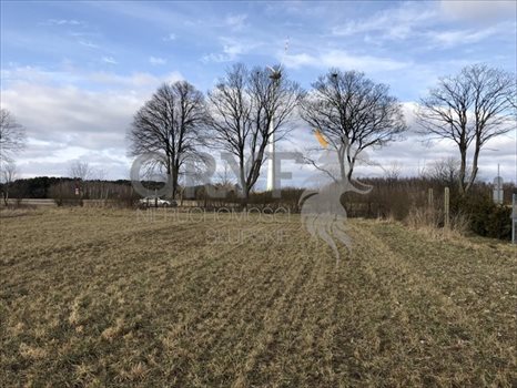 Działka inwestycyjna na sprzedaż Bierkowo 10 000m2 Foto 4