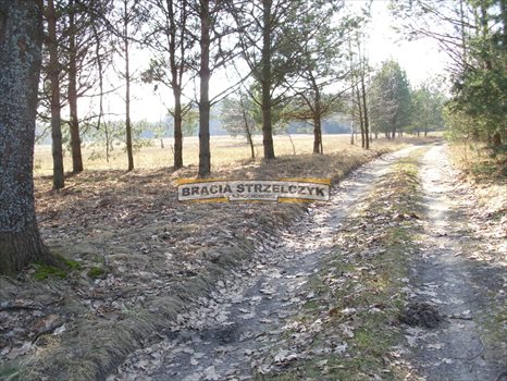 Działka budowlana na sprzedaż Jarząbka 14 093m2 Foto 8