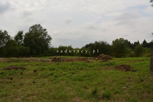 Działka budowlana na sprzedaż Kraków, Dębniki, Kliny, Spacerowa 2 609m2 Foto 2