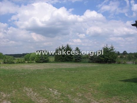 Działka inwestycyjna na sprzedaż Antoninów 4 300m2 Foto 2