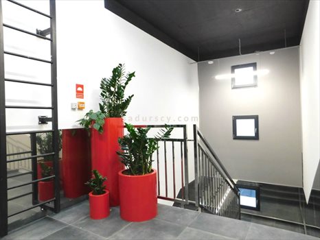 Lokal użytkowy na wynajem Piaseczno 180m2 Foto 7