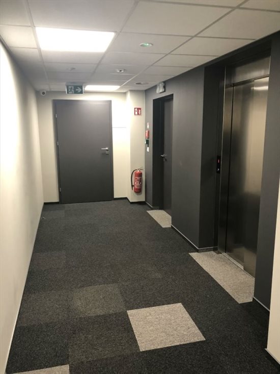 Lokal użytkowy na wynajem Kraków, Czyżyny, Nowohucka 240m2 Foto 4
