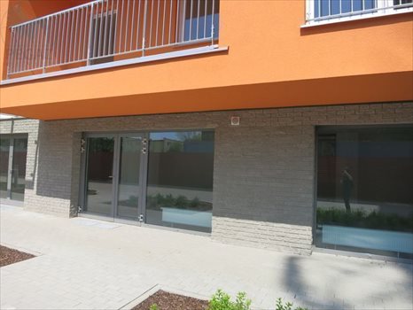 Lokal użytkowy na sprzedaż Poznań, Stare Miasto, Winogrady, Wilczak 113m2 Foto 5