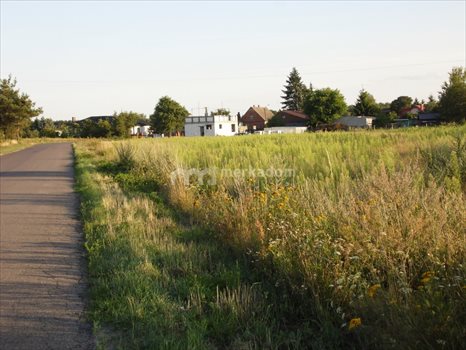 Działka inna na sprzedaż Dąbrówka Leśna 6 899m2 Foto 6