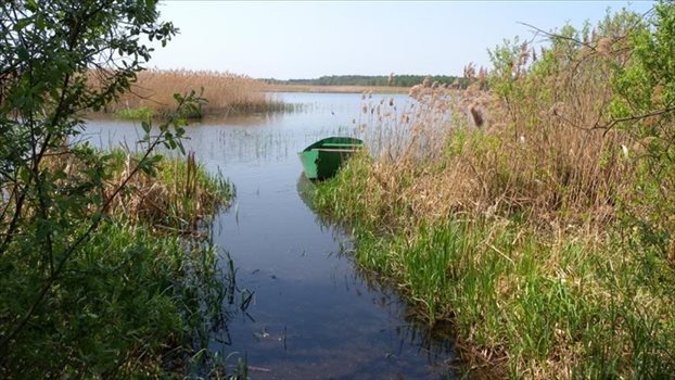 Działka budowlana na sprzedaż Sulejów, Sulejów, Ustronna 1 000m2 Foto 2
