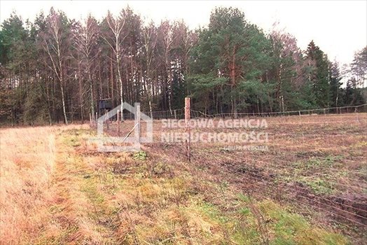 Działka leśna na sprzedaż Strzeczona 129 577m2 Foto 10