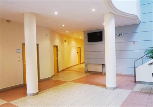 Lokal użytkowy na wynajem Łódź, Bałuty 310m2 Foto 6