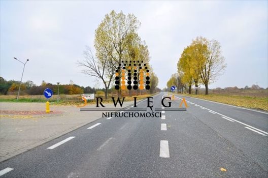 Lokal użytkowy na wynajem Trzebiszewo 750m2 Foto 5