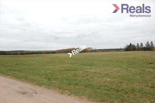 Działka rolna na sprzedaż Drzonowo Wałeckie 280 000m2 Foto 4