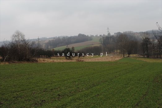 Działka budowlana na sprzedaż Bochnia, Frycza 1 456m2 Foto 7