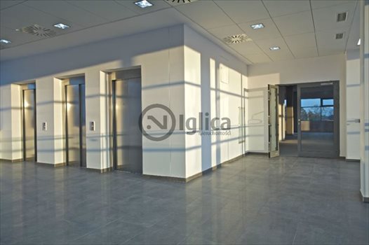 Lokal użytkowy na wynajem Wrocław, Psie Pole 61m2 Foto 2