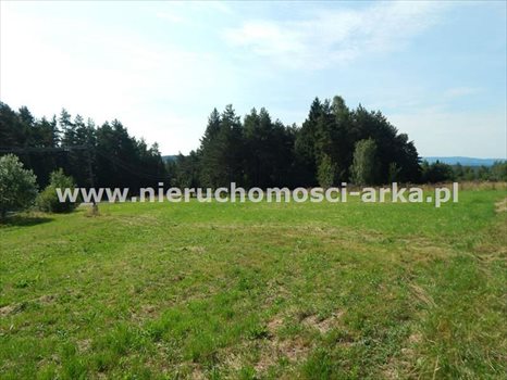 Działka budowlana na sprzedaż Kasina Wielka 1 800m2 Foto 1