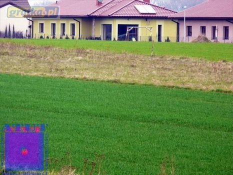 Działka budowlana na sprzedaż Gliwice, Żerniki 820m2 Foto 6