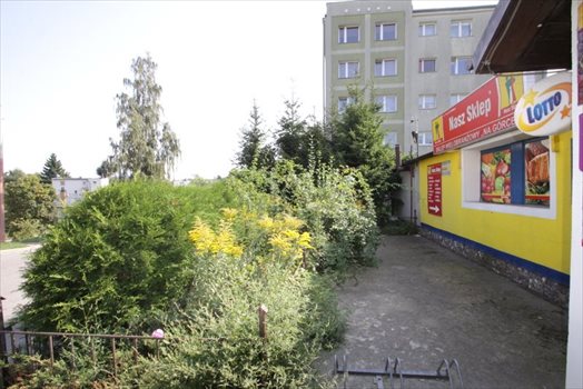 Lokal użytkowy na wynajem Gdynia, Leszczynki, KORDECKIEGO AUGUSTYNA 70m2 Foto 4