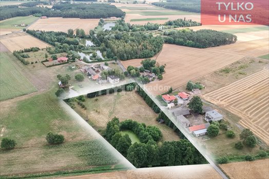 Działka budowlana na sprzedaż Lubonieczek 8 577m2 Foto 3