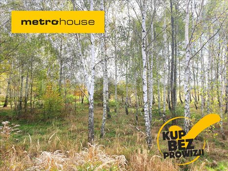 Działka inna na sprzedaż Piątkowisko, Pabianice 886m2 Foto 1