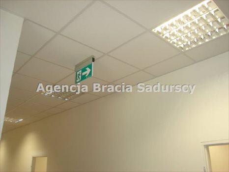 Lokal użytkowy na wynajem Kraków, Podgórze, Rybitwy, Półłanki 488m2 Foto 3