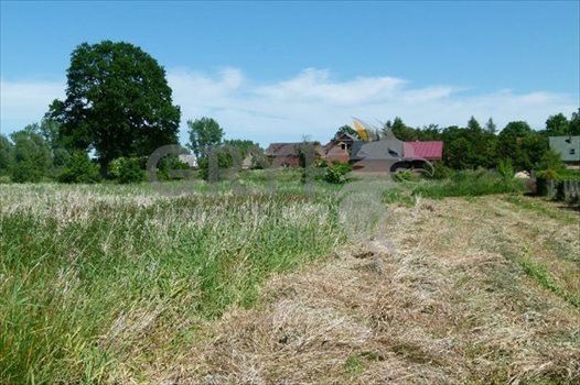 Działka inna na sprzedaż Dębina, Akacjowa 1 616m2 Foto 5