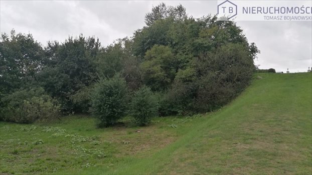 Działka budowlana na sprzedaż Giewartów, Nad Jeziorem, Powidz, Giewartów okolice 2 000m2 Foto 4