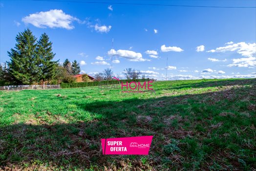 Działka budowlana na sprzedaż Błędowa Zgłobieńska 5 000m2 Foto 1