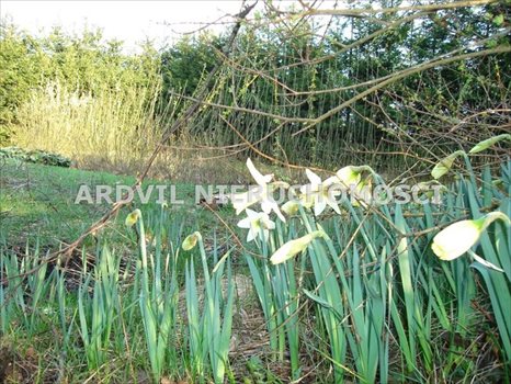 Działka budowlana na sprzedaż Katrynka, Katrynka 2 871m2 Foto 3