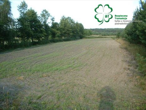 Działka budowlana na sprzedaż Silna, Silna 2 300m2 Foto 8