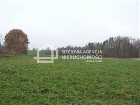 Działka rolna na sprzedaż Trzepowo 40 200m2 Foto 5