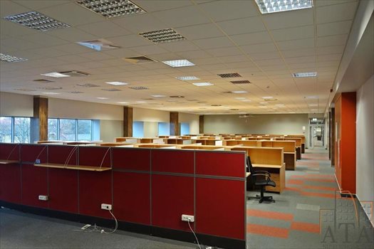 Lokal użytkowy na wynajem Wrocław, Psie Pole 412m2 Foto 6