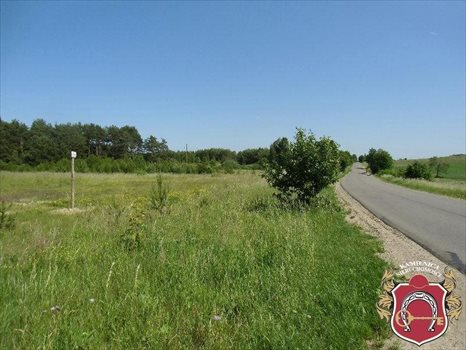 Działka komercyjna na sprzedaż Zakrzewo 12 400m2 Foto 4